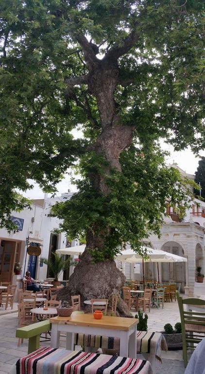 Ioanna'S Villa Panormos  Ngoại thất bức ảnh